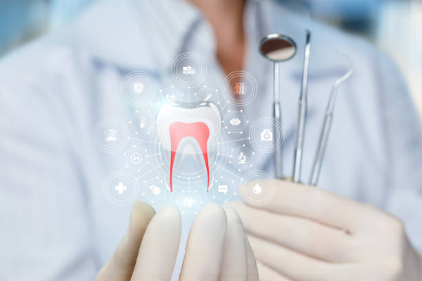 Best Preventive Dentistry  in Silverdale, WA